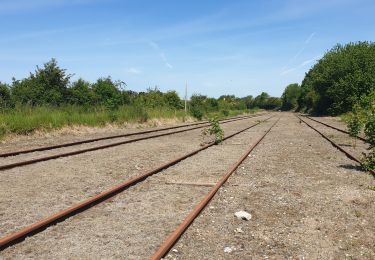 Trail Walking La Calotterie - Autour de Montreuil sur mer  - Photo