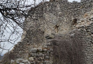 Randonnée Marche Barrême - barrême  chateau  plus haut  chaudon 19.5km 860m - Photo