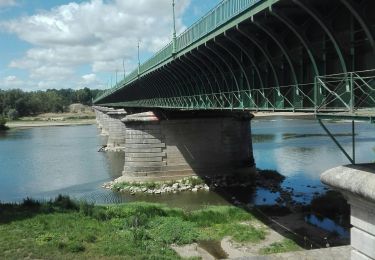 Tour Wandern Briare - Brett45-2020-07-06 - Photo