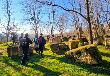 Tocht Stappen Marcoussis - Boucle 21 km autour de Marcoussis - Photo