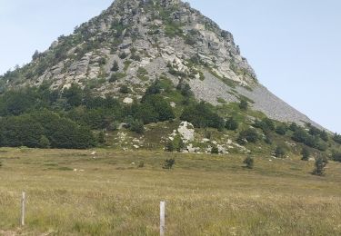 Excursión Bici de carretera Le Lac-d'Issarlès - col de Mezilhac et le Gerbier de jonc - Photo