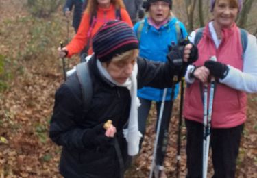 Excursión Marcha nórdica Tarasteix - TarasteeixMN2bis - Photo