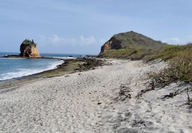 Randonnée Marche Parroquia Machalilla - Los Frailes - Photo