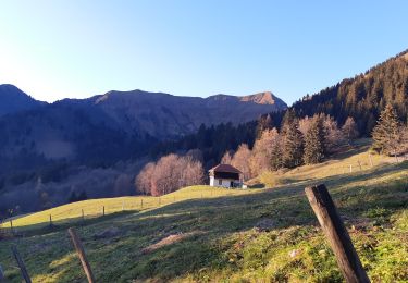 Percorso Marcia Samoëns - Boucle Pkg Allamands-Refuge Bostan-Col/Refuge de la Golèse-Allamands - Photo