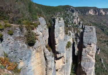 Randonnée Marche Le Rozier - Les corniches des gorges de la Jonte et du Tarn - Photo