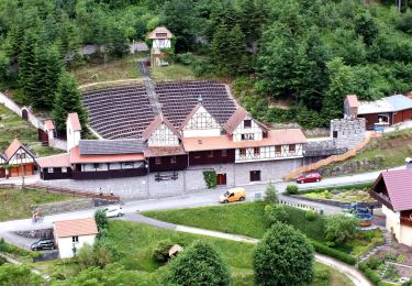 Randonnée A pied Gutach (Schwarzwaldbahn) - Gutach - Schondelhöhe - Photo