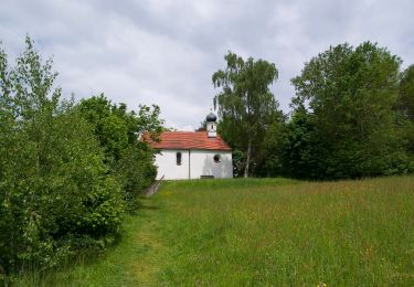 Percorso A piedi Viechtach - Viechtach, Rundweg Nr. 13 - Photo