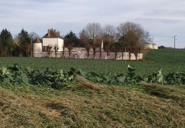 Randonnée Vélo de route Paron - 065 E50 Theil sur Vanne-02 - Photo