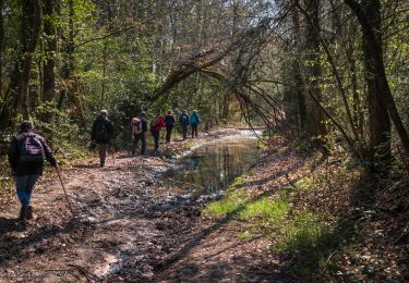 Trail Walking Soligny-la-Trappe - Soligny-la-Trappe - Tourouvre - voie Sud 11 Km - Photo