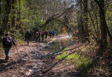 Excursión Senderismo Soligny-la-Trappe - Soligny-la-Trappe - Tourouvre - voie Sud 11 Km - Photo