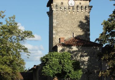 Excursión A pie Moncrabeau - Moncrabeau, le mont des chèvres 13.4 km - Photo