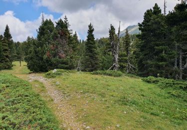 Randonnée Marche Saint-Agnan-en-Vercors - pas de berrieves rocher de segure - Photo