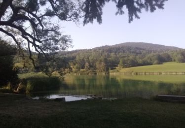 Randonnée Vélo de route La Ravoire - lac de la Thuile Curienne, St Jean d'Arvey - Photo