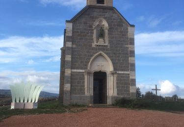 Trail Walking Fleurie - Fleurie  - Photo
