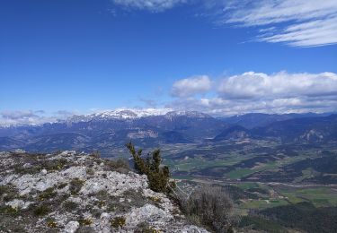 Excursión Senderismo Aucelon - crêtes d'Aucelon  - Photo