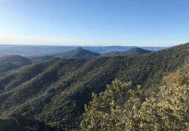 Excursión Senderismo Montpeyroux - Le pic par la gauche  - Photo