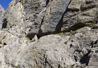 Percorso Marcia Pralognan-la-Vanoise - Arête Ouest de l'aiguille du petit Arcelin - Photo