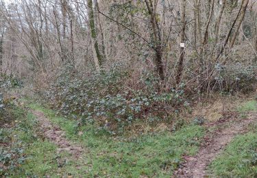 Excursión Senderismo Barzun - BARZUN Balisage le bois deBèze  - Photo