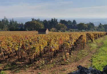 Tocht Stappen Givry - Boucle de Givry à Russilly - Photo