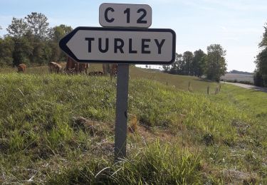 Percorso Marcia Corsaint - rando circuit turley  Corsaint . - Photo