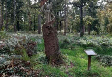 Tour Wandern Crécy-en-Ponthieu - LP80_Crecy Ponthieu_Scultures bois - Photo