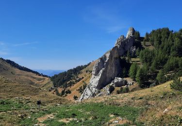 Tour Wandern Saint-Julien-en-Beauchêne - tour des 4 cols - Photo
