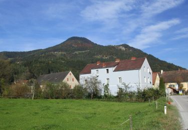 Randonnée A pied Frohnleiten - Wanderweg 10 Gschwendtrundweg - Photo