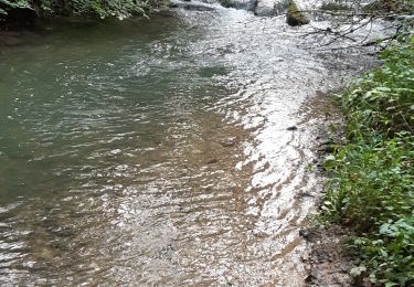 Tour Wandern Modave - pont de bonne ag - Photo