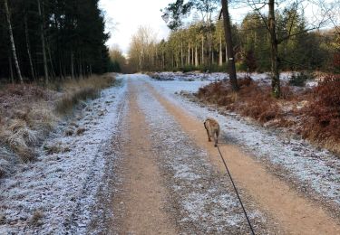 Tour Wandern Eupen - Eupen spa - Photo