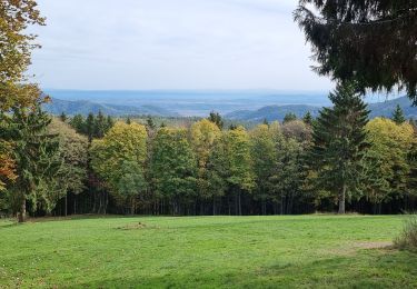 Tocht Mountainbike Fréland - aubure - Photo