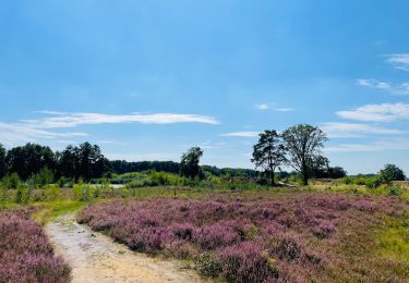 Trail Walking Genk - de-wijers-de-maten-startplaats-slagmolen-oranje - Photo