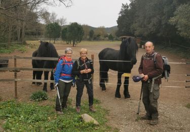 Tour Wandern Pierrefeu-du-Var - portalière maison des gardes - Photo