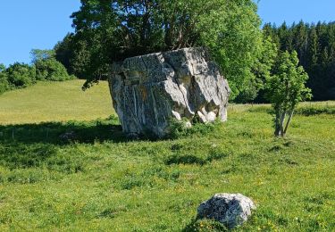 Trail Walking Rencurel - Col de Romeyere  - Photo