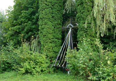 Percorso A piedi Skierbieszów - Ścieżka edukacyjno-spacerowa Skierbieszów-Dulnik-Zawoda-Broczówka - Photo