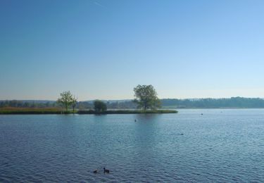 Randonnée A pied Zurich - Fluntern - Nänikon-Greifensee - Photo