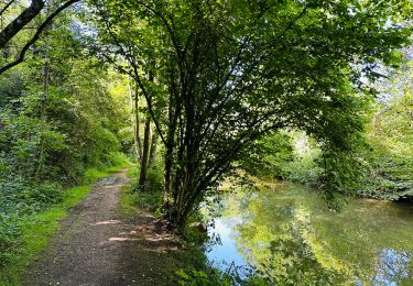 Trail Walking Charleroi - Le long de la rivière de l’Eau d’Heure à Charleroi - Photo