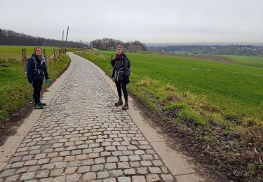 Tocht Stappen Beersel - 2019-01-10 Boucle Huizingen 22 km - Photo