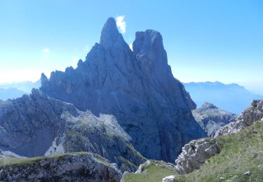 Trail On foot Primiero San Martino di Castrozza - IT-E721 - Photo