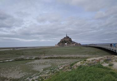 Percorso Marcia Pontorson - 2020-03-19 mont saint Michel  - Photo