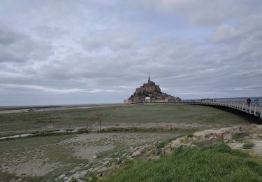 Tocht Stappen Pontorson - 2020-03-19 mont saint Michel  - Photo