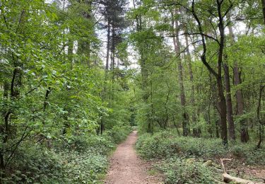 Randonnée Marche Genappe - Promenade de Bousval - Photo