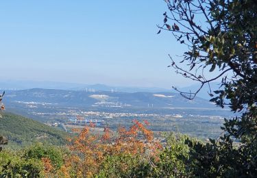 Excursión Senderismo Bourg-Saint-Andéol - forêt de Laoul - Photo