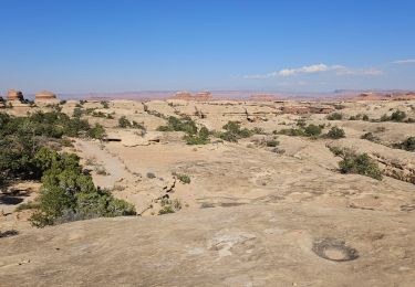 Trail Walking  - 2024 Canyonlands The Needles - Photo