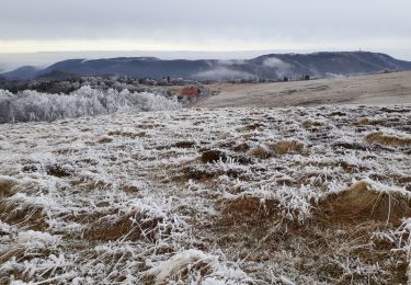Trail Walking Lepuix - la crête du ballon d'Alsace  - Photo