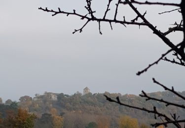 Tour Wandern Sainte-Colombe-en-Bruilhois - de Sainte Colombe à Roquefort  - Photo