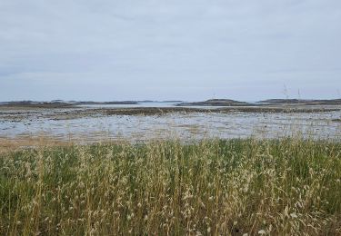 Randonnée Marche Pleumeur-Bodou - 2024 RA J3 Bretagne costamoricaine  - Photo