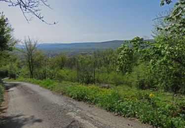 Trail Walking Vayrac - Vayrac- Puy d'Issolud - Photo