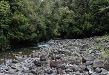 Tocht Te voet  - Te Araroa - 06 Wellington - a Poads Road, Levin to Otaki Forks - Photo