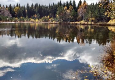 Trail Walking Saint-Étienne-de-Lugdarès - Luc - Bertail - L'Auradou  - Photo