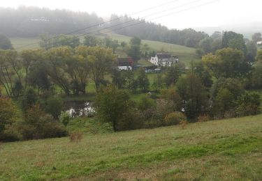 Percorso A piedi Schleiz - Rundwanderweg Weckersdorf - Photo